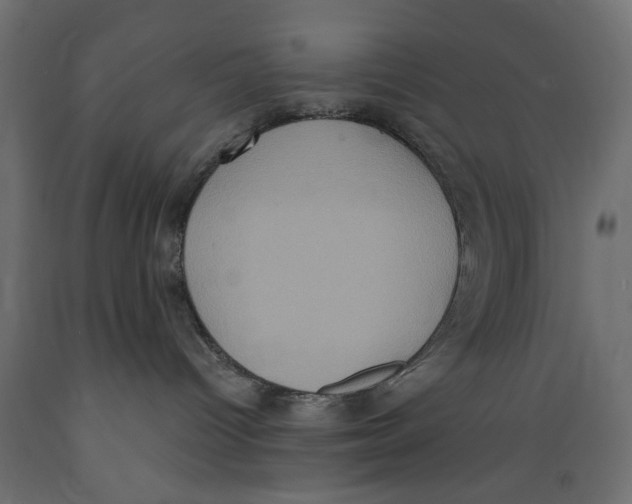 X0000088880096200707061419