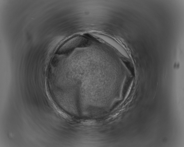 X0000088880097200707061419