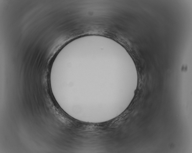 X0000088880098200707061419