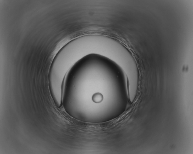 X0000088880099200707061419