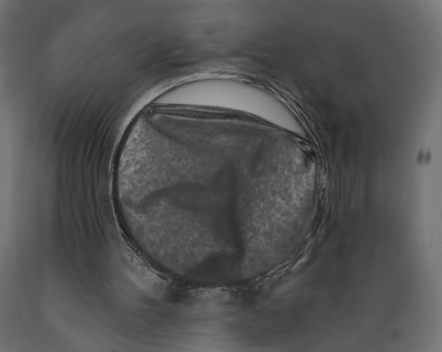 X0000088880100200707061419