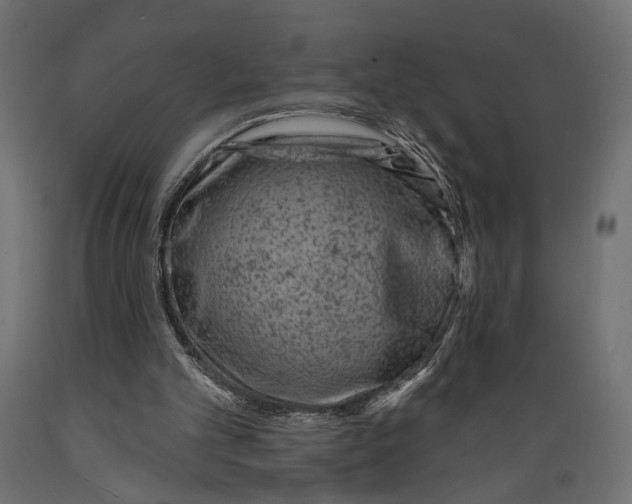 X0000088880101200707061419
