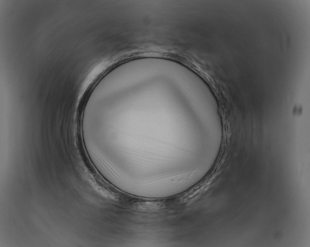 X0000088880102200707061419