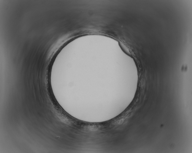 X0000088880103200707061419