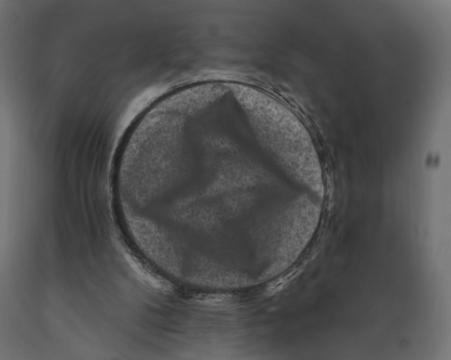 X0000088880104200707061419