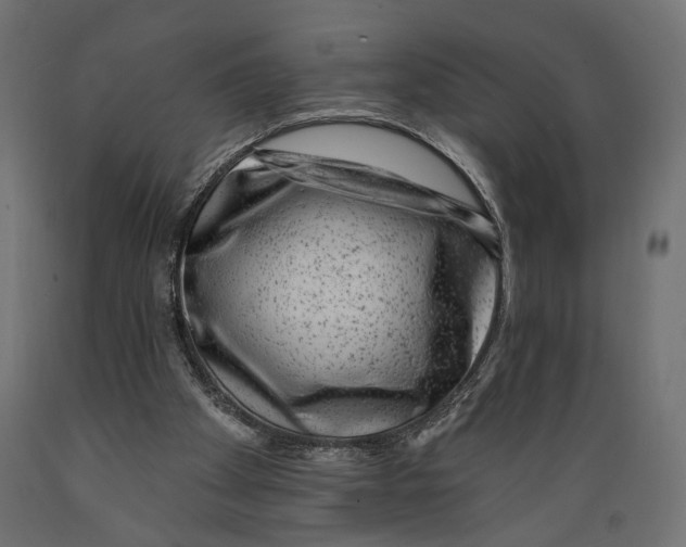 X0000088880105200707061419