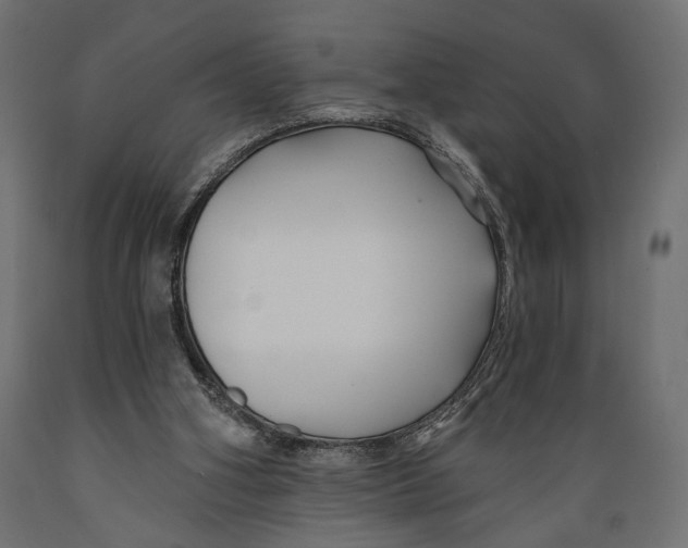 X0000088880106200707061419
