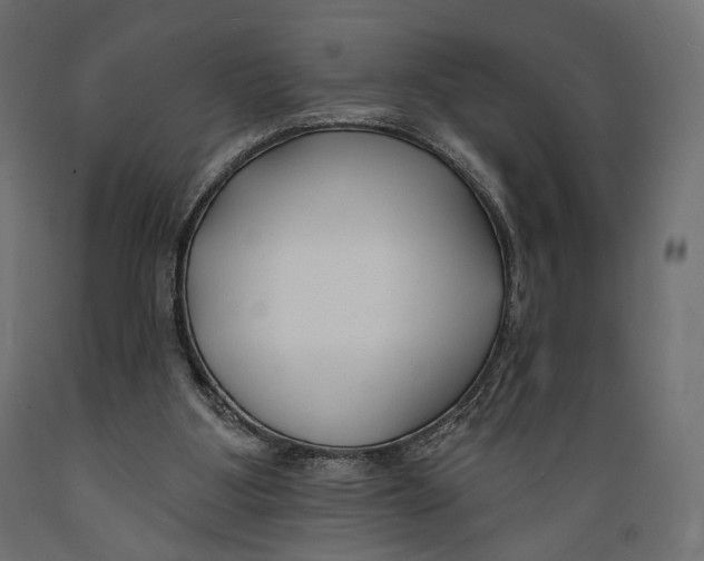 X0000088880107200707061419