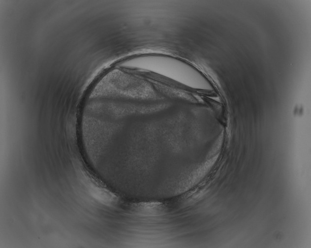 X0000088880108200707061419