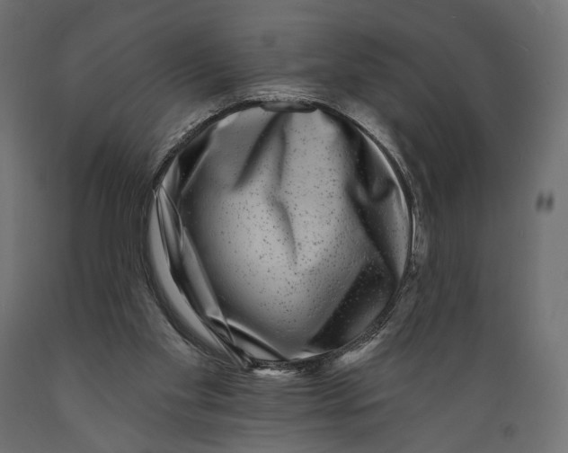 X0000088880109200707061419