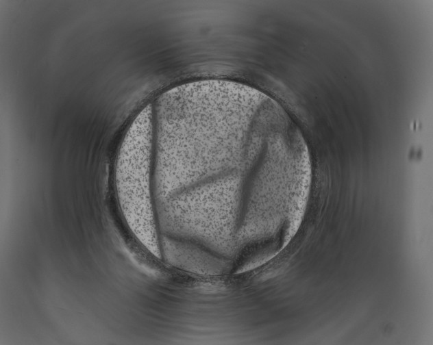 X0000088880110200707061419