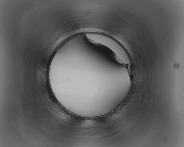 X0000088880111200707061419