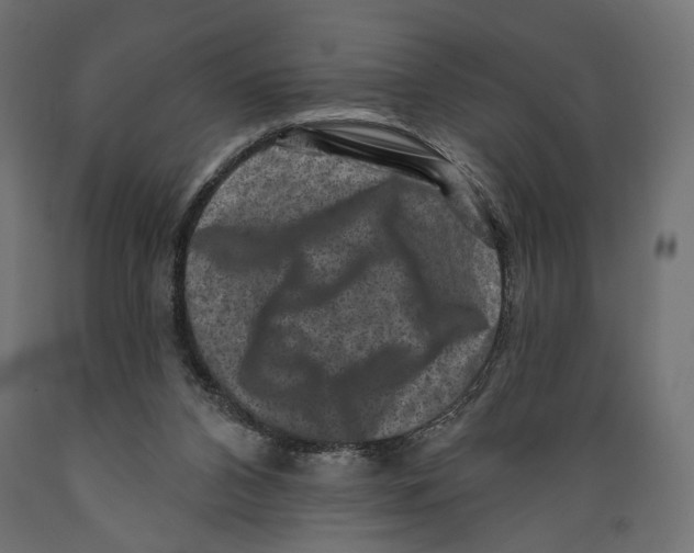 X0000088880112200707061419