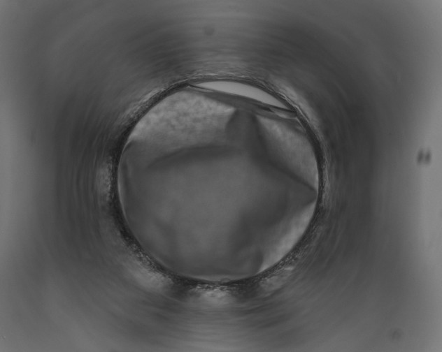 X0000088880113200707061419
