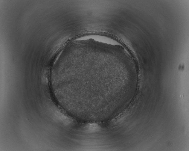 X0000088880114200707061419