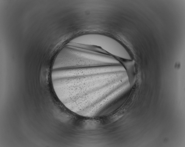 X0000088880115200707061419