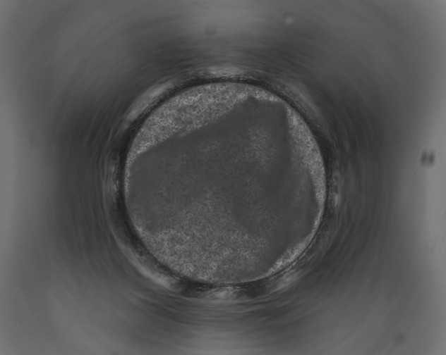 X0000088880116200707061418