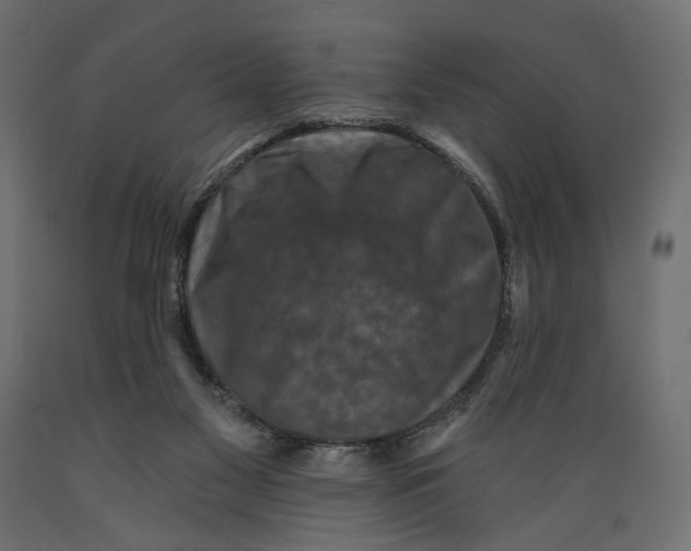X0000088880117200707061418