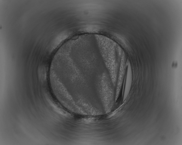 X0000088880120200707061418