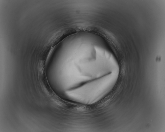 X0000088880121200707061418