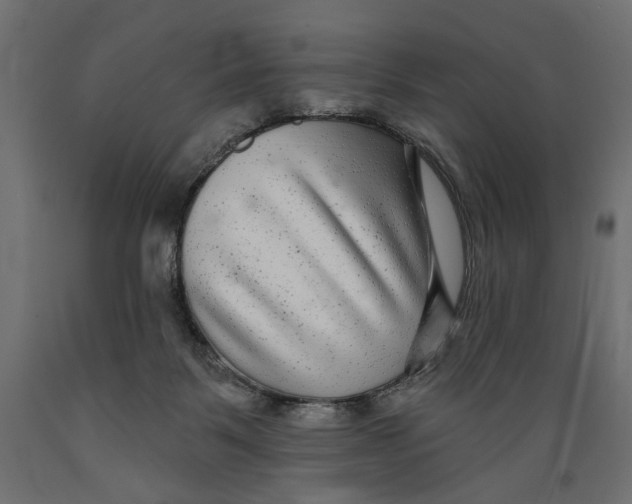 X0000088880123200707061418