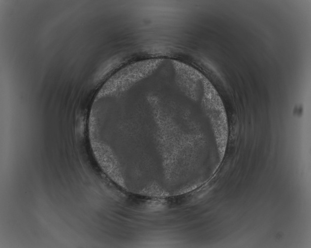 X0000088880124200707061418