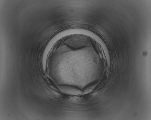 X0000088880125200707061418