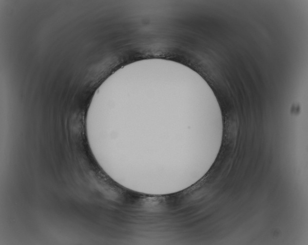 X0000088880126200707061418