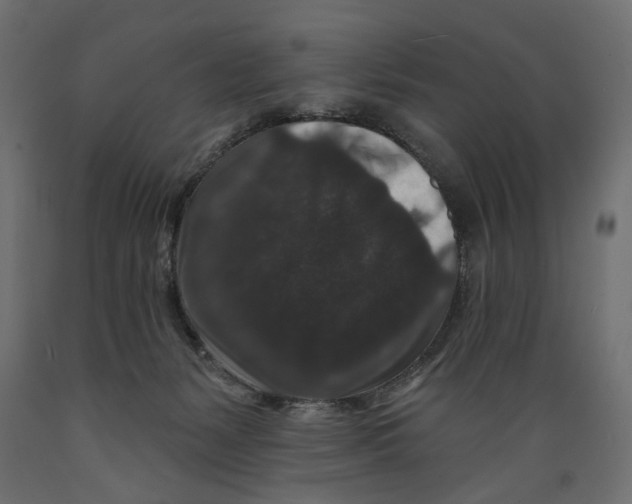 X0000088880127200707061418