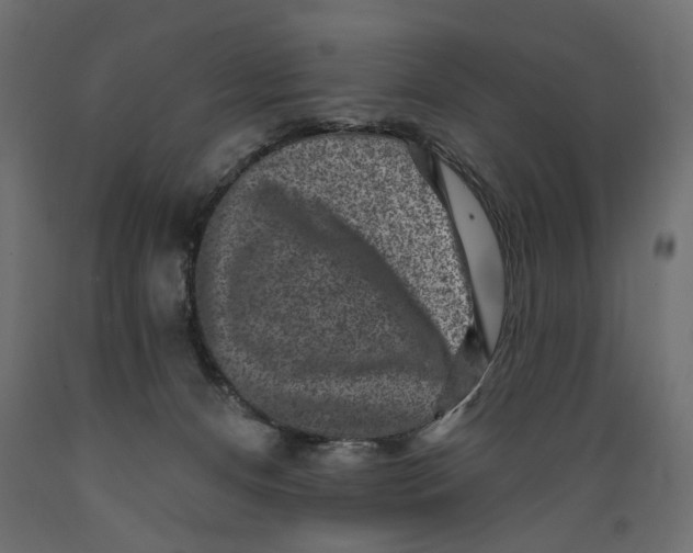 X0000088880128200707061418