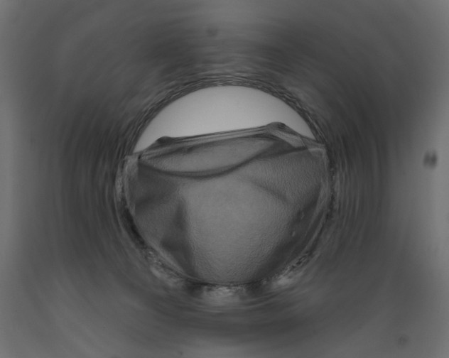 X0000088880129200707061418