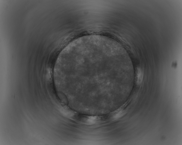 X0000088880130200707061418
