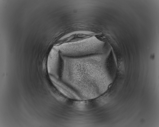 X0000088880131200707061418