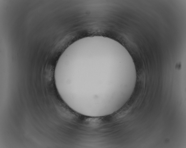X0000088880133200707061418