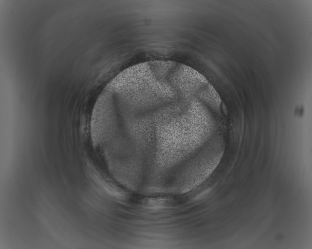 X0000088880134200707061418