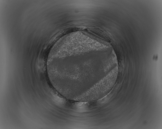 X0000088880136200707061418