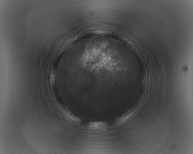 X0000088880137200707061418