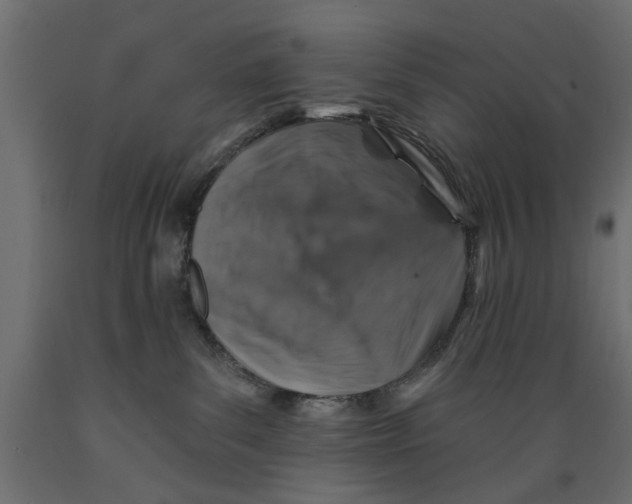 X0000088880139200707061418