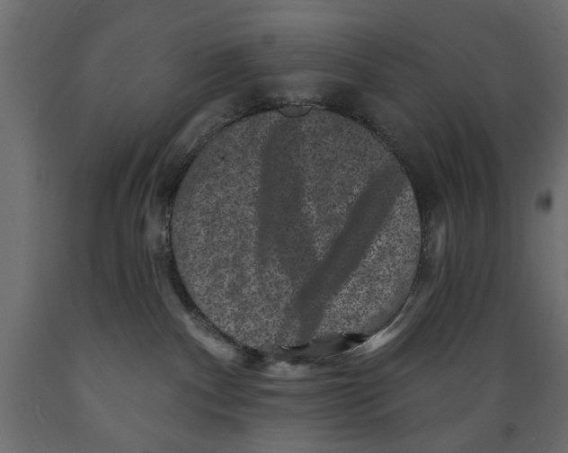 X0000088880140200707061418