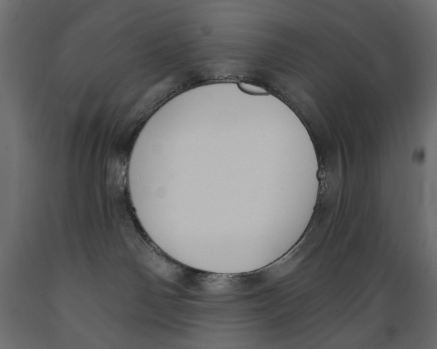 X0000088880142200707061418