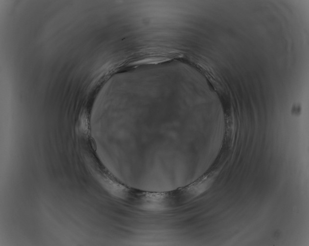 X0000088880143200707061418