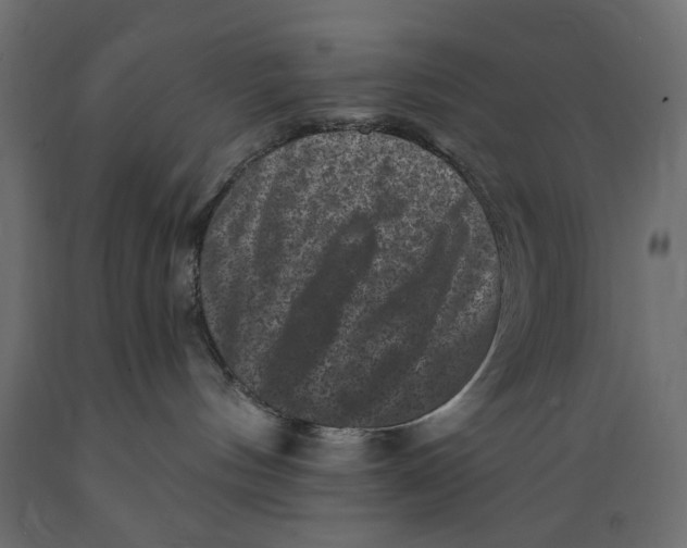 X0000088880144200707061418