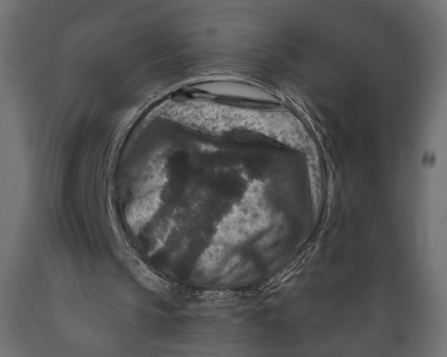 X0000088880145200707061417