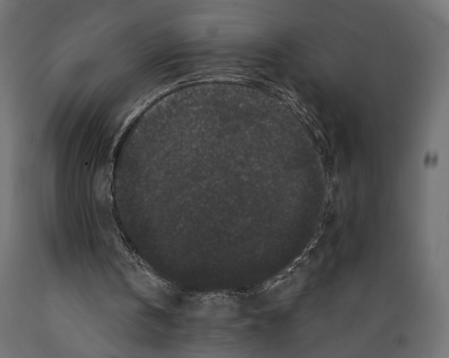 X0000088880146200707061417