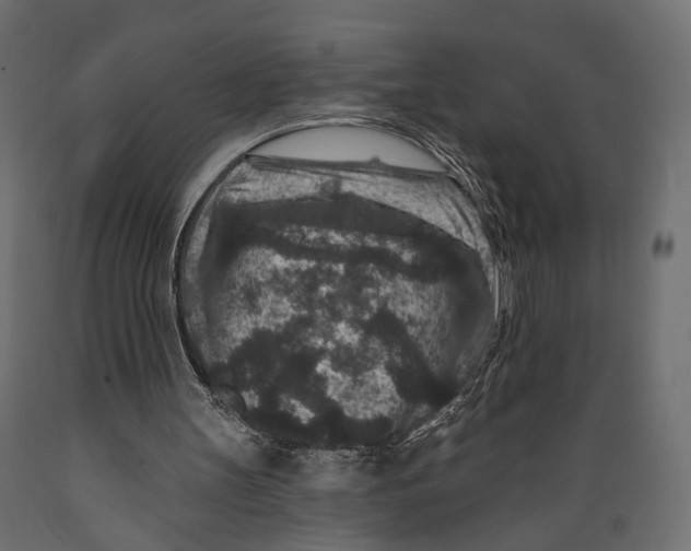 X0000088880147200707061417