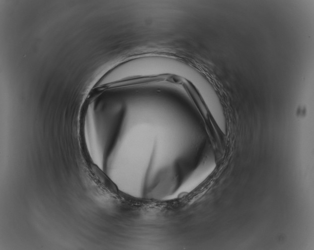 X0000088880148200707061417