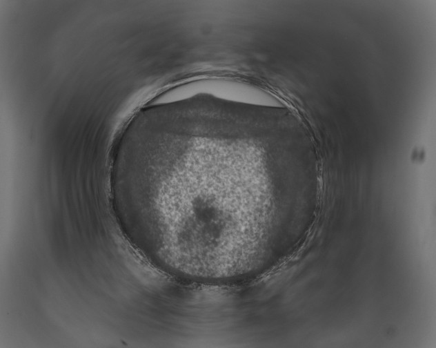 X0000088880149200707061417