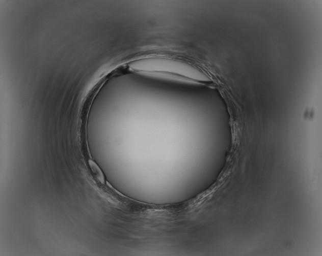 X0000088880150200707061418