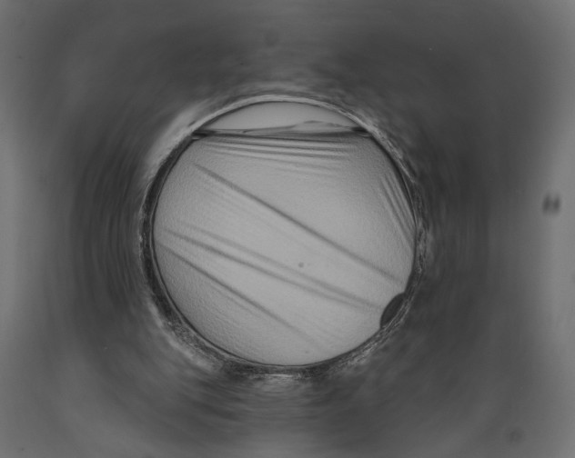 X0000088880151200707061418