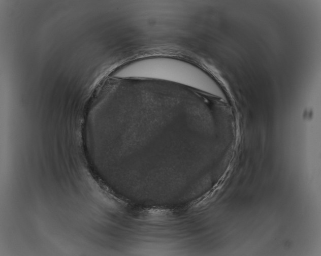 X0000088880154200707061418
